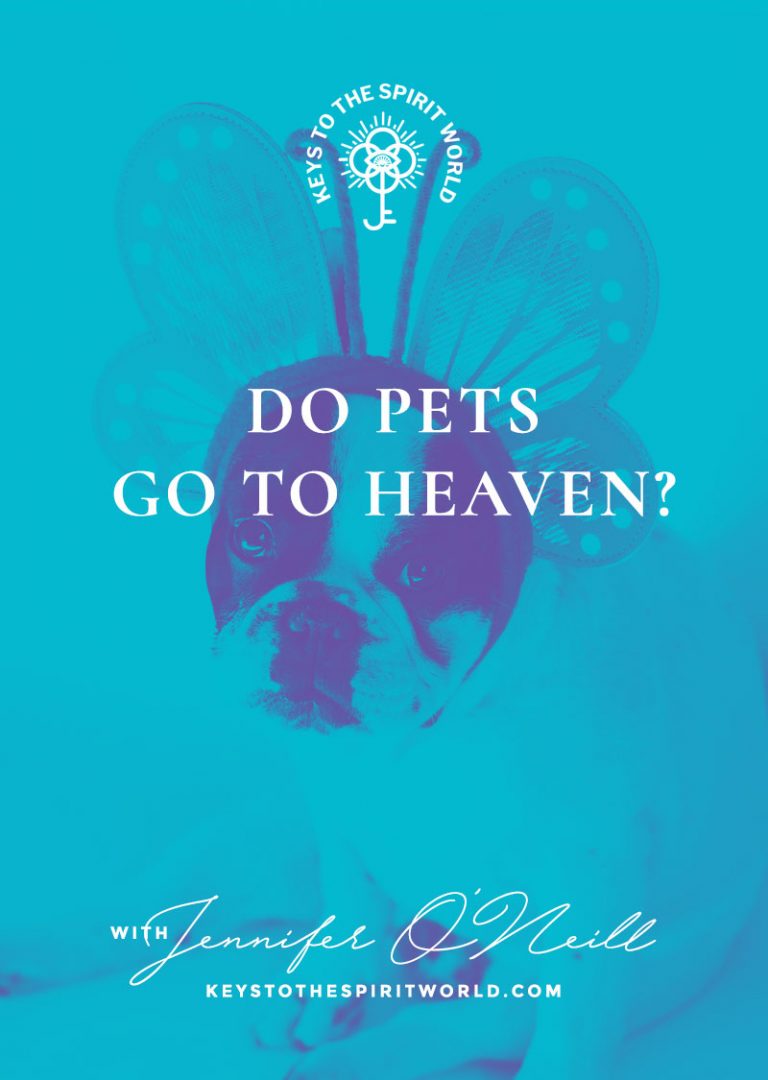 do-pets-go-to-heaven-keys-to-the-spirit-world